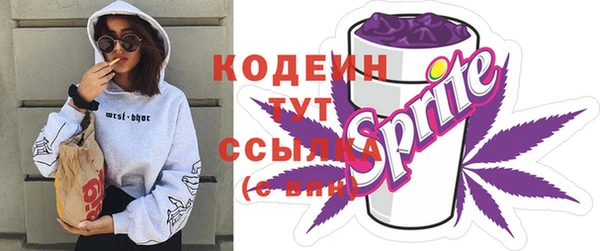 ешки Инта