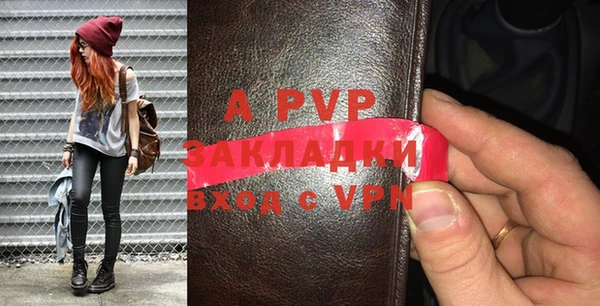 ешки Инта