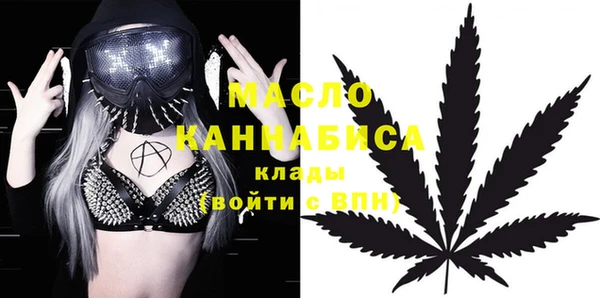 ешки Инта