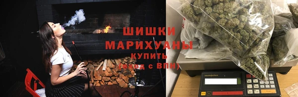 ешки Инта