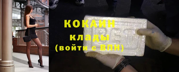 ешки Инта