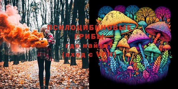 стафф Инсар