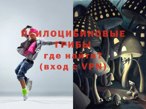ешки Инта