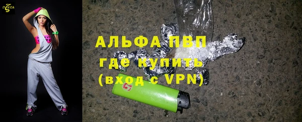 ешки Инта
