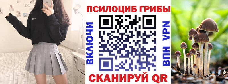 Галлюциногенные грибы Psilocybine cubensis  Купить где  Богучар 